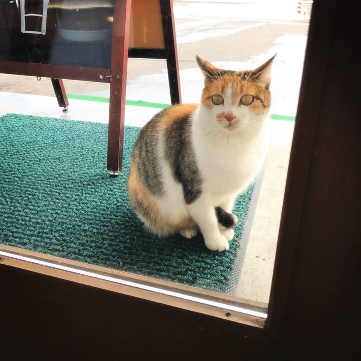 34ba76ca df6c 445c bda7 08c1f4b56a4d 1513757929264