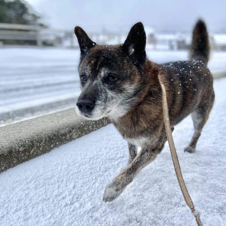 34ba789a fe3f 42f6 9ebe 4f9b4fa8ca43 1641008736503