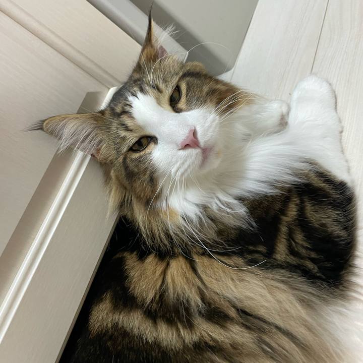 34ba90f8 dde6 4e18 a822 8d9bf019b56f 1649065910303