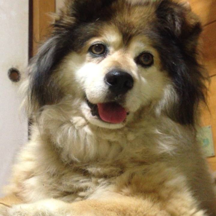 34ba910c c142 452f a32f fa9c544b3347 1566789361893