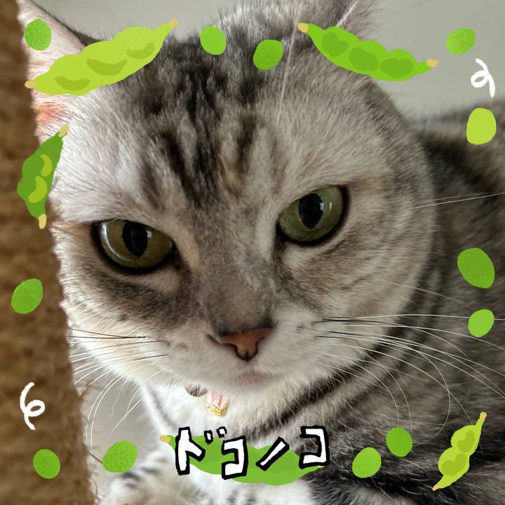 34baa1bf c603 4210 ab44 fe31c290172f 1721256514576