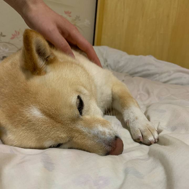 34bb0b3c 7917 4d47 a5a0 5871c3475d8e 1650975994681