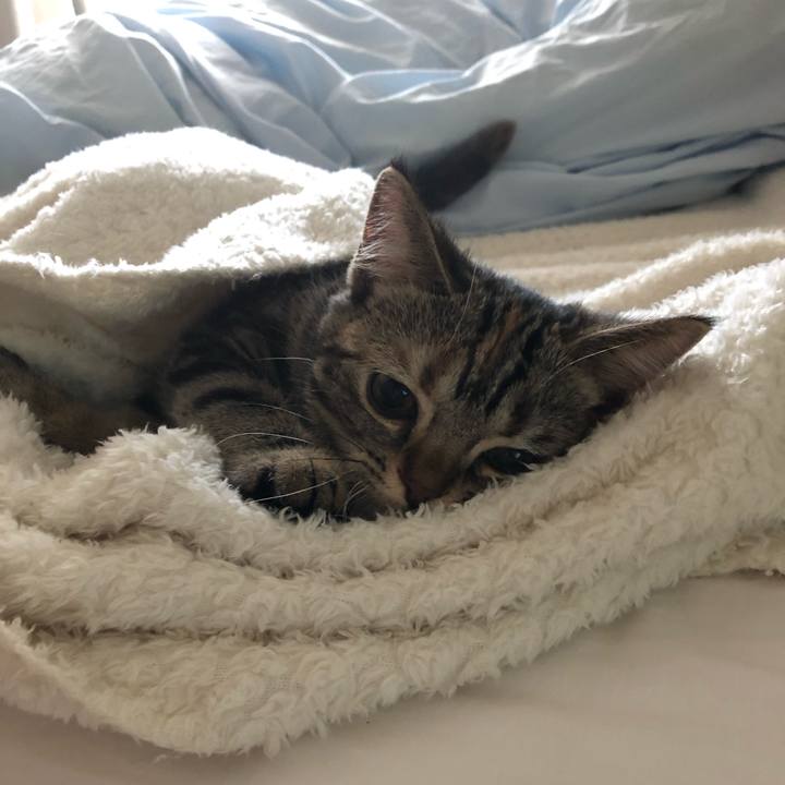 34bb0dc6 0371 43f0 bfdb 017be53c7556 1582437178558