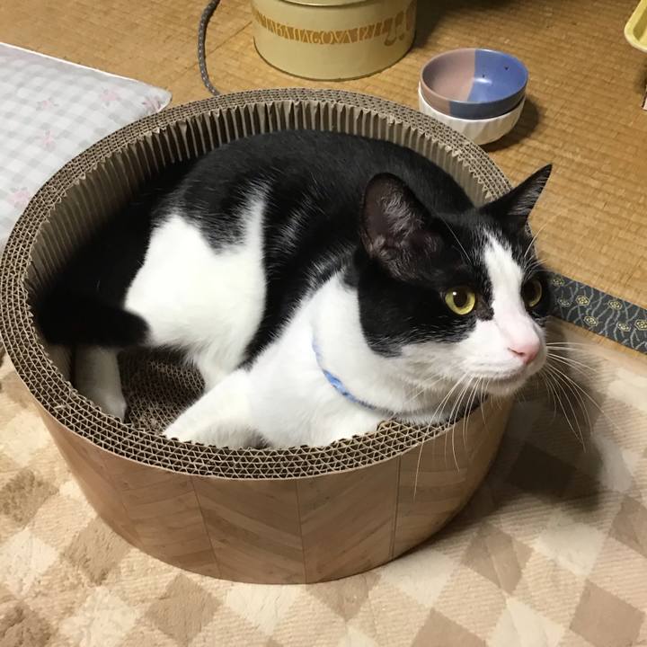 34bb2cdd b68c 4084 937b 8816669372ce 1697713334341