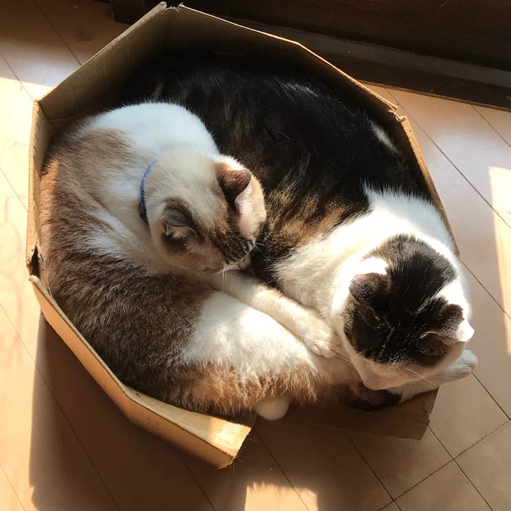 34bba54a 2c66 44ce 9a54 89d96a09b17b 1522221536322