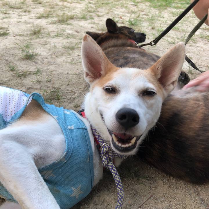 34bc0a37 3e50 481f 9c3a 0a7f2800b462 1597675611626