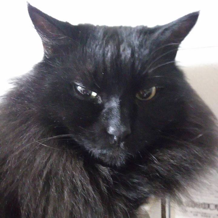 34bc20de f3d1 4bf7 94fc 402941f2d018 1547391696775