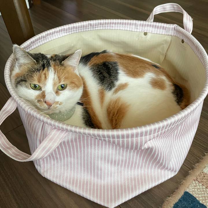 34bc3173 332e 4517 9629 532300f2e563 1674703754483