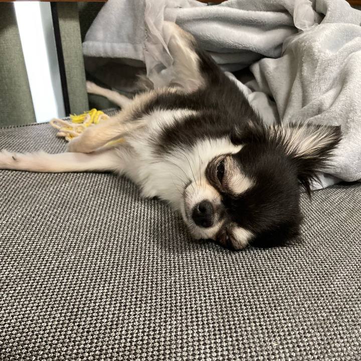 34bc4271 79dd 4226 aafc 3aaf61bcba6d 1627033743115