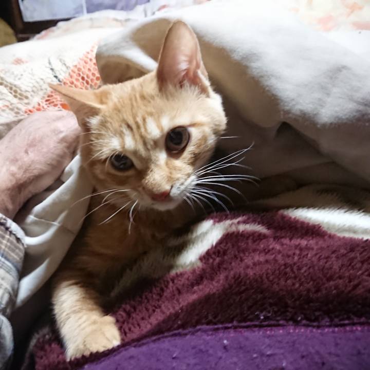 34bc5a8d d2b0 426a b2a1 34b67c761c08 1635626479839