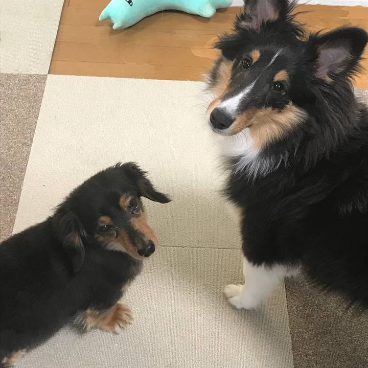 34bc792a 18fd 43cd be3e fc6f25c01e4d 1520372691444