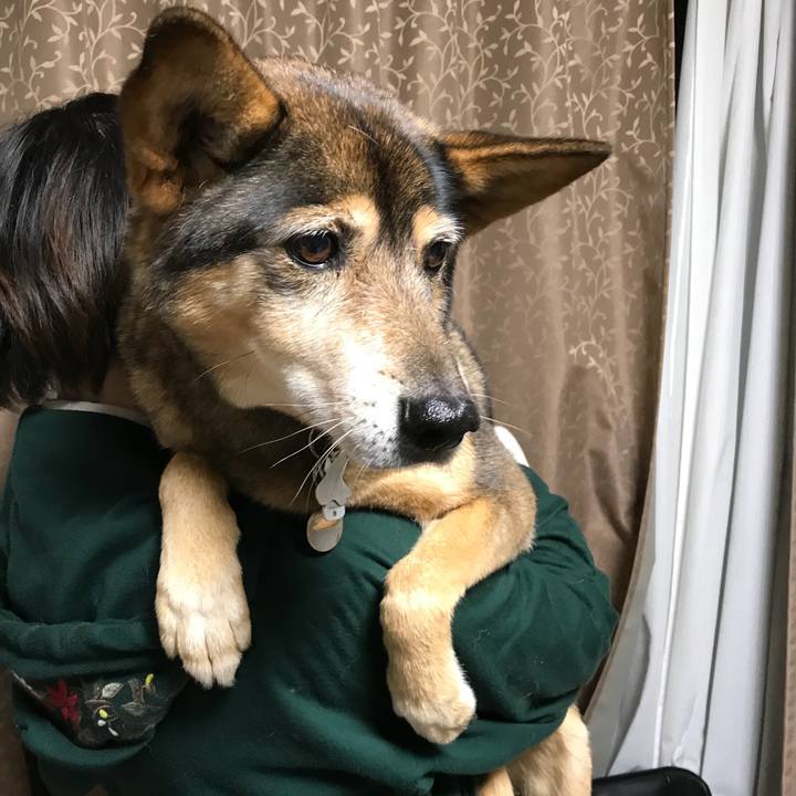 34bc97f1 c3f4 4d97 9bae 0a1cab520c9f 1512813181545