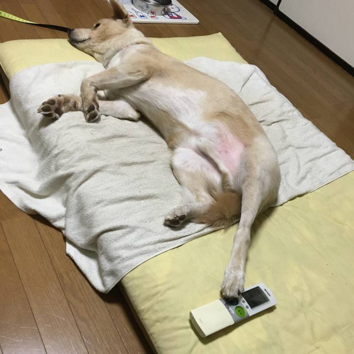 34bcb093 c5fb 4e68 9e8b 42e998b33f23 1532783211836