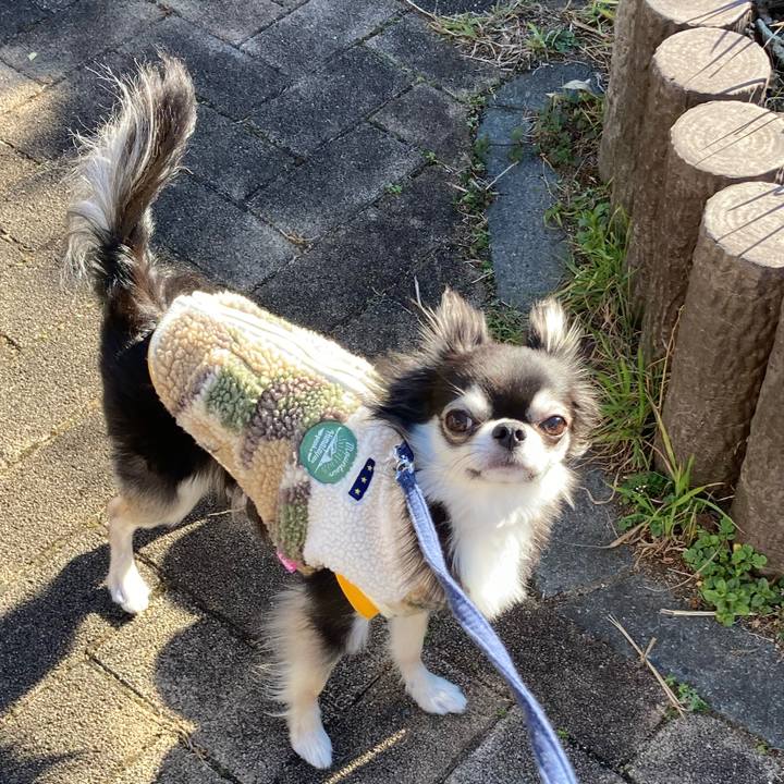 34bcb8ae 3833 488f a4c5 46f678df8075 1677386618462