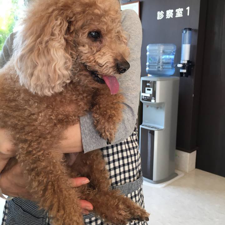 34bce415 9972 4f2d aa79 d1d6873b94f7 1526995662762