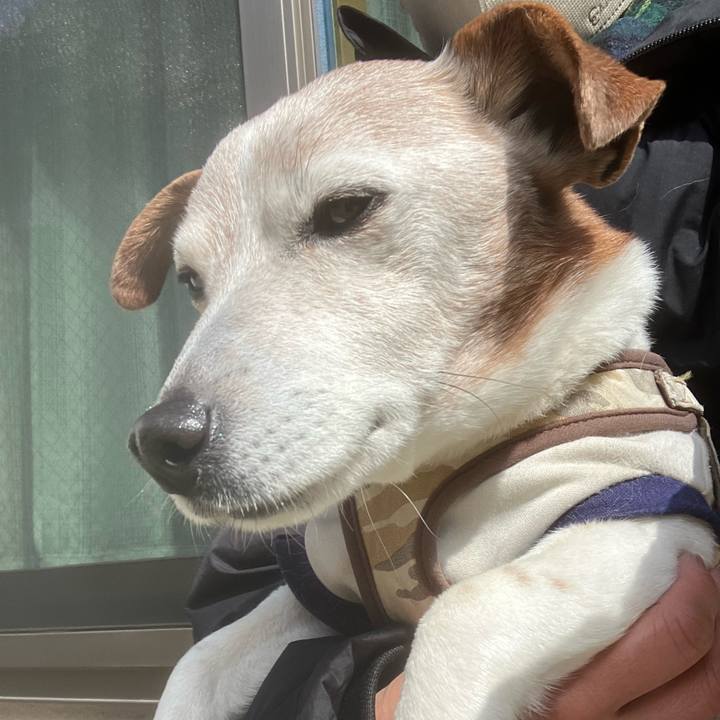 34bd88a2 e9d4 49a4 8b64 e2428a95d920 1773194198053