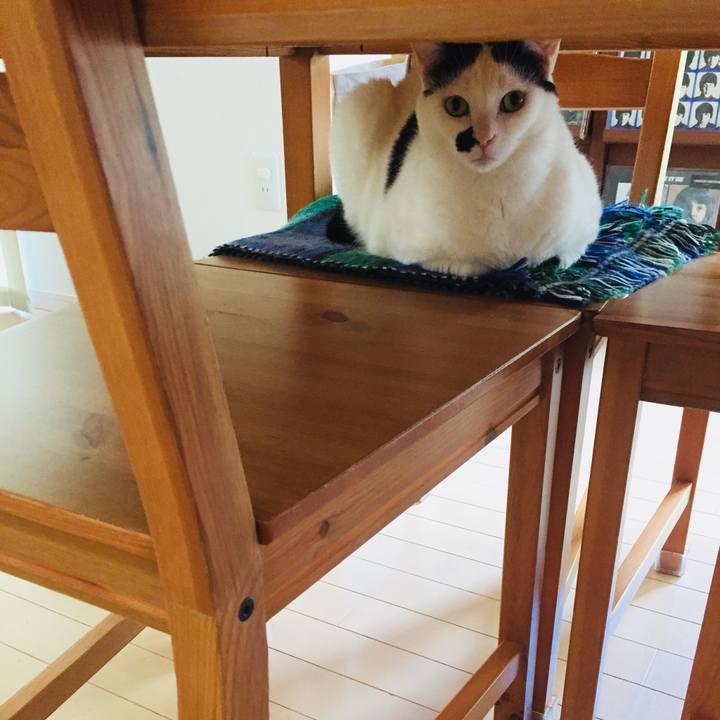 34bdedaa fc90 4442 828b 582cd8f2c19d 1525045231514