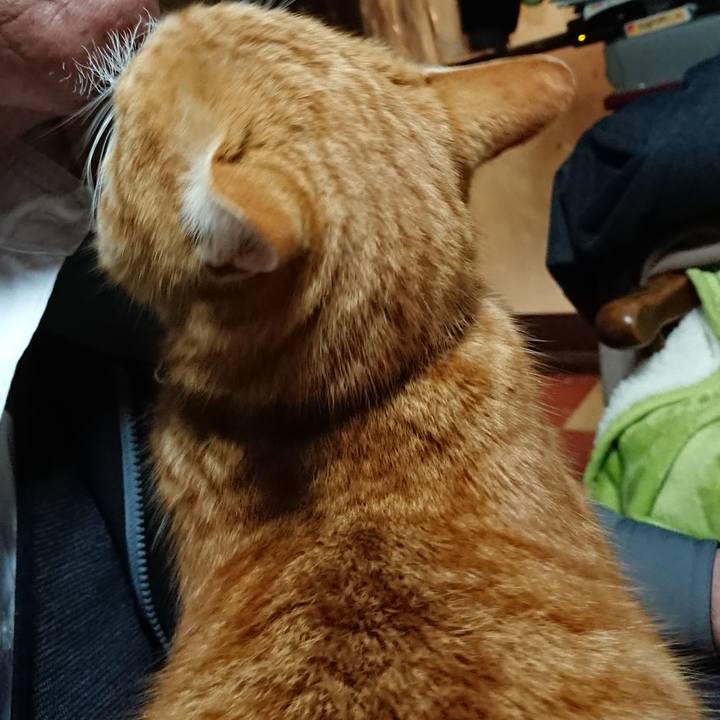 34bdfc03 bda2 45ce ba4e b186295020ae 1582189685654