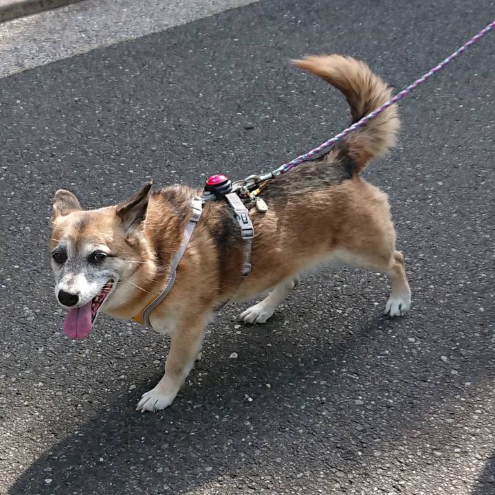 34be0457 3952 4f86 aed0 96407c122d61 1526090864655