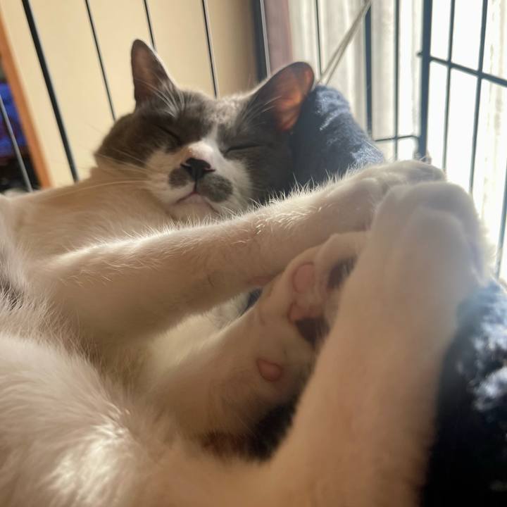 34be125d dc51 4f74 be1a 79fe2a590cd7 1698447412863