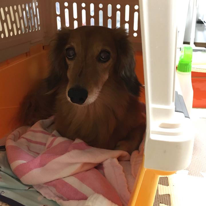 34be405a 2ab7 4d35 80cb 9c4afbe26333 1600866668430