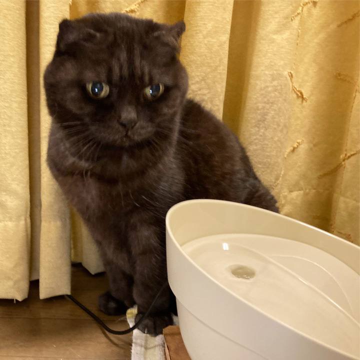 34be42e6 8fef 4908 a008 2d4e97dc0ea0 1635267906188