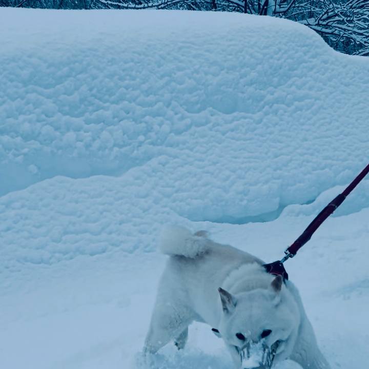 34be6fa2 d8a6 436c b49b bcbb53f87f1a 1706396620025