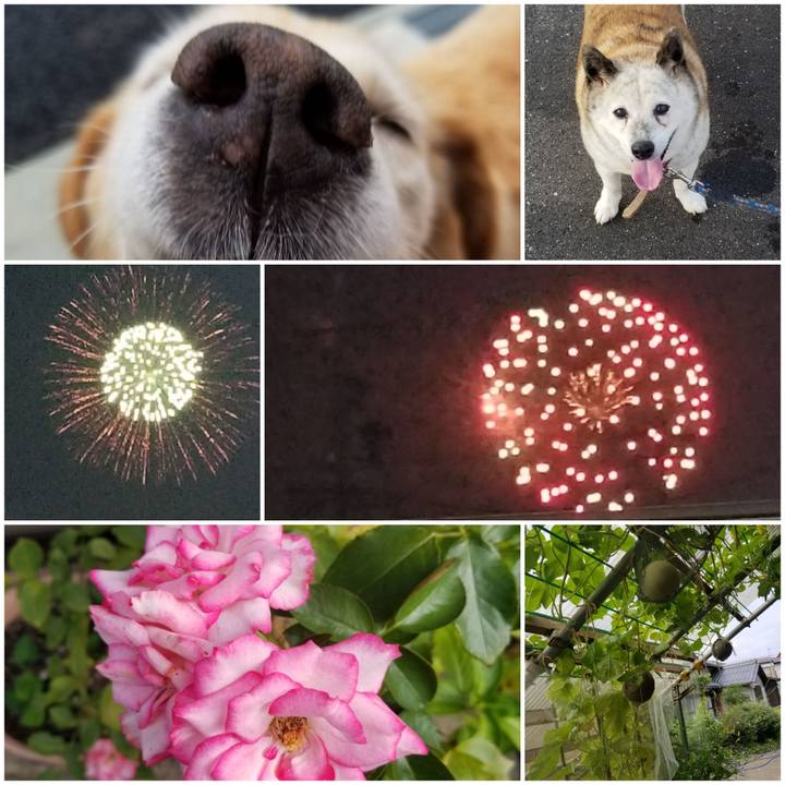 34be9b00 77e7 4ab7 b424 e8c5528b0288 1755230903481