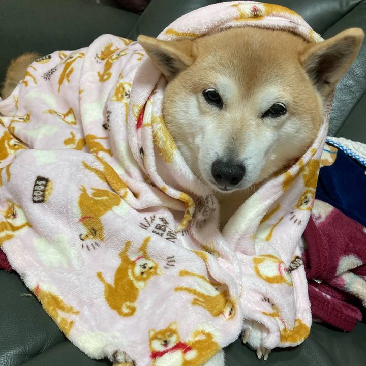 34bea80d 18ce 4c6c ac3e 5cf03828e405 1617594933921