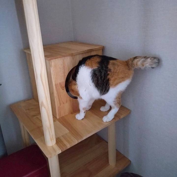 34beb0a8 9be3 44cc aa24 af5b55492325 1763113588123