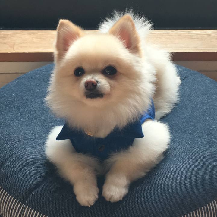 34beb547 a246 4969 9e3f fe0f7515db73 1579406030427