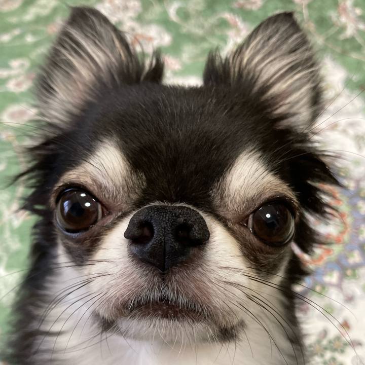 34bed218 b56d 430e bcc6 28ffbd2961d9 1662158539048