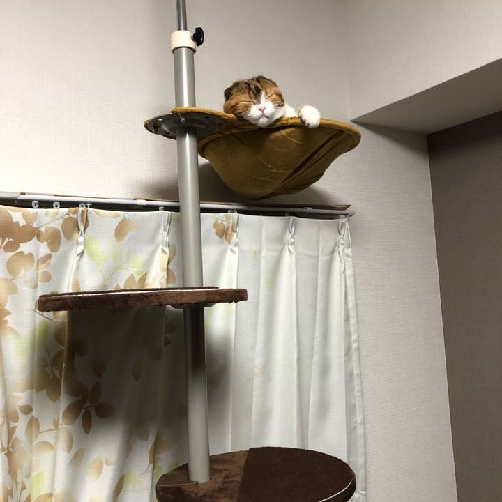 34bee06b d51c 4986 bf87 ed31bc86e828 1528633585240