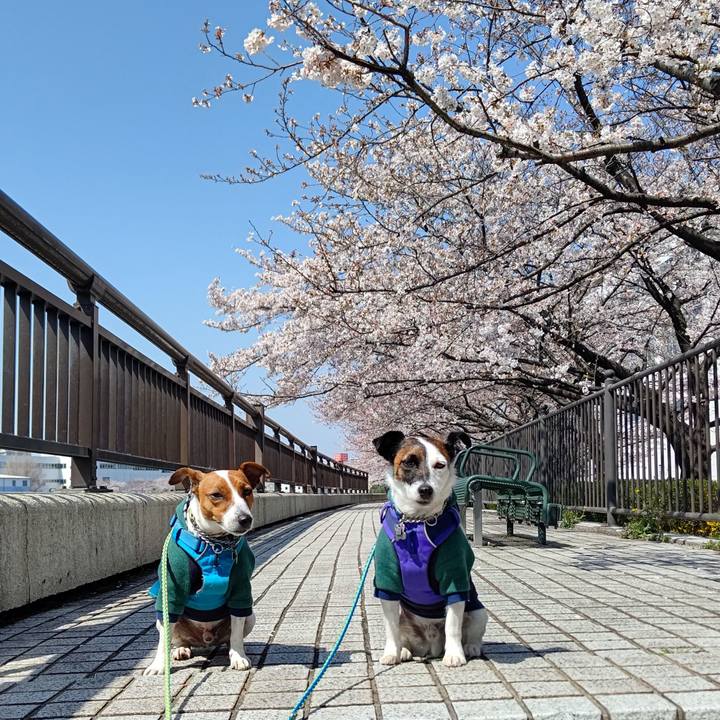 34bef551 d5a5 4f85 a169 5badc4a43813 1616725834663