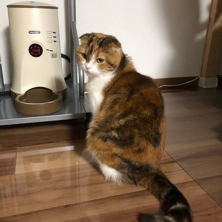 34bf02a6 9614 44a2 ab62 50d8ca4a475f 1577434420802