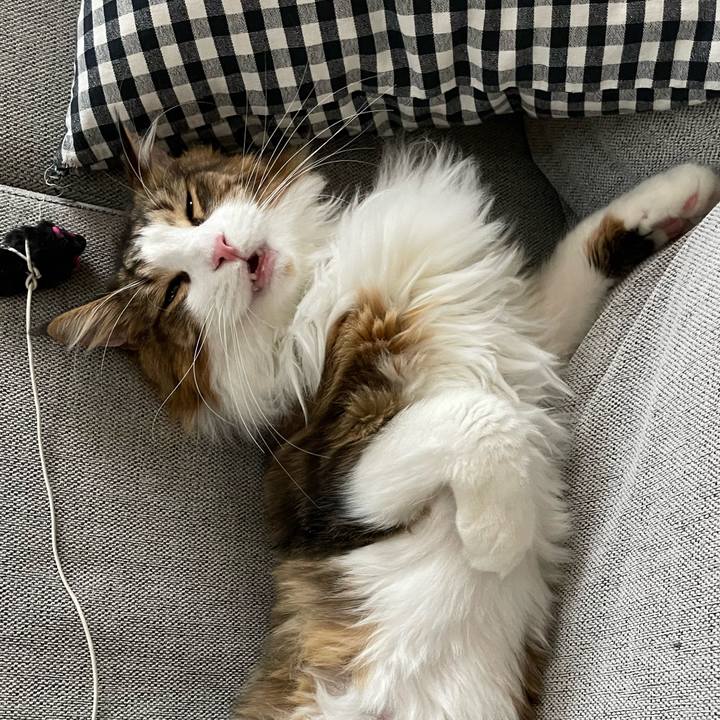 34bf162b 4125 4884 9208 639f8150a223 1664053351790