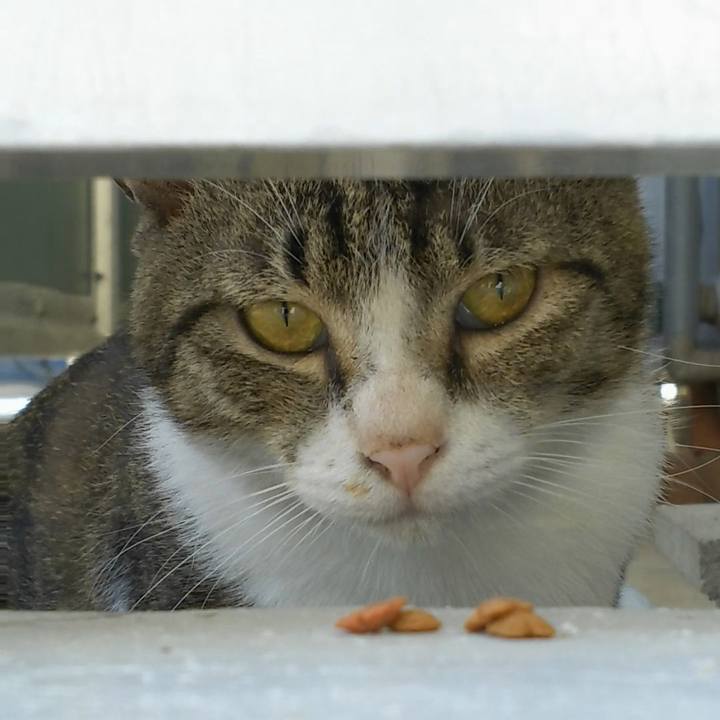 34bf182b d720 4cbb 95f3 0ff1bef51964 1533875462674