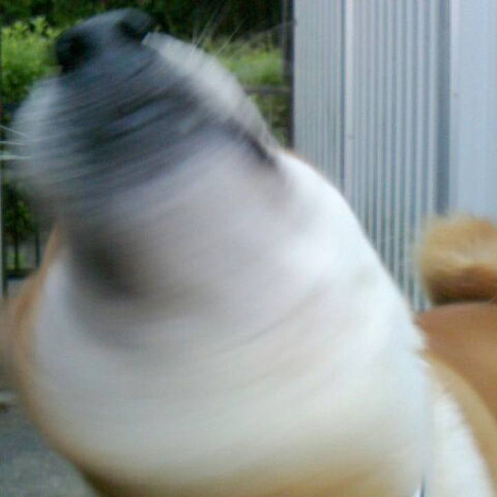 34bf1dc9 1499 4977 8065 fa2b451ed227 1527925156970