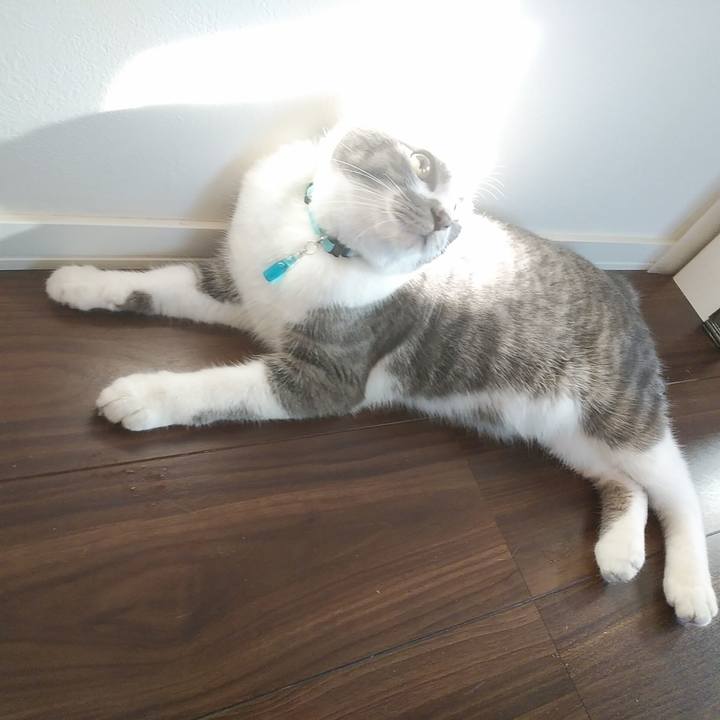 34bf5442 d135 434a af0b cb4189853608 1580364270876