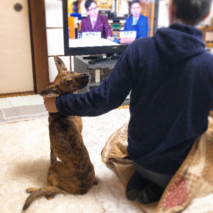 34bfa0b0 33cc 41cb b467 d3121417b130 1577926593184