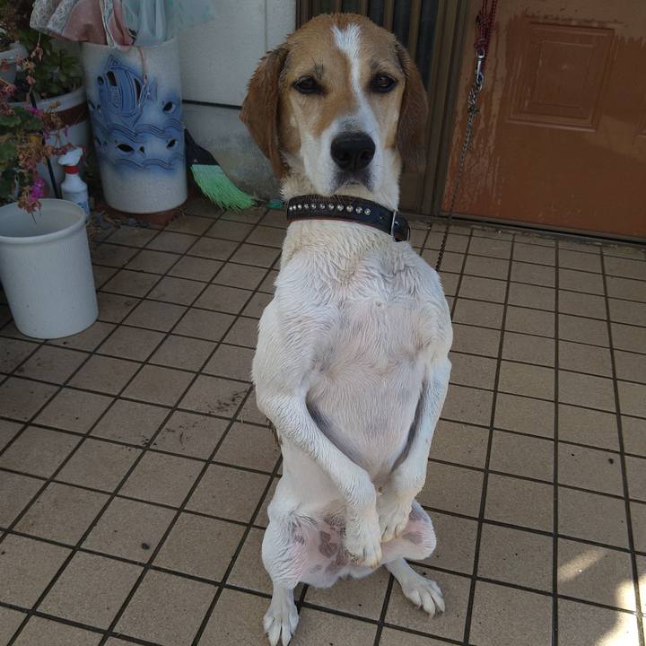 34bfc6be 7ba1 44ab a12b b973031338fc 1658555254681