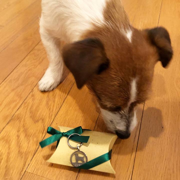 34bfd23c 4ef1 4f17 ac10 cefeb6136db6 1518607241616