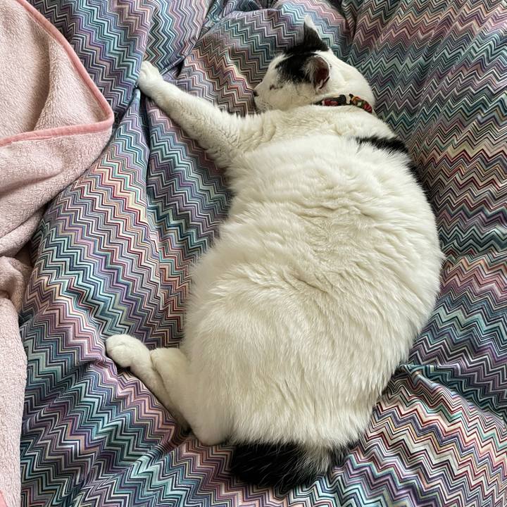 34bfd8fc 4c38 4cf2 89d0 3eb8d5087390 1641620567603