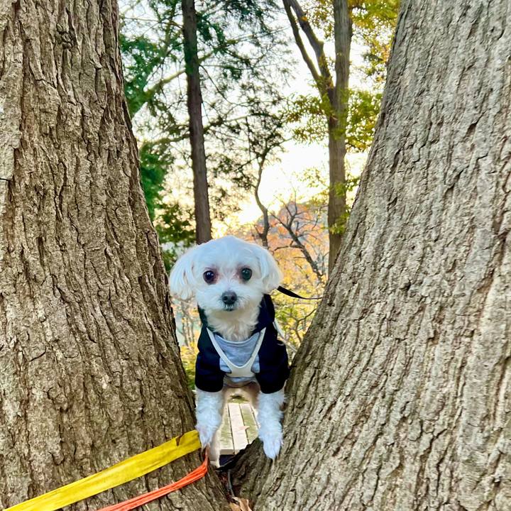 34c00306 2f91 43c2 b059 5a4008a49de4 1670661317612