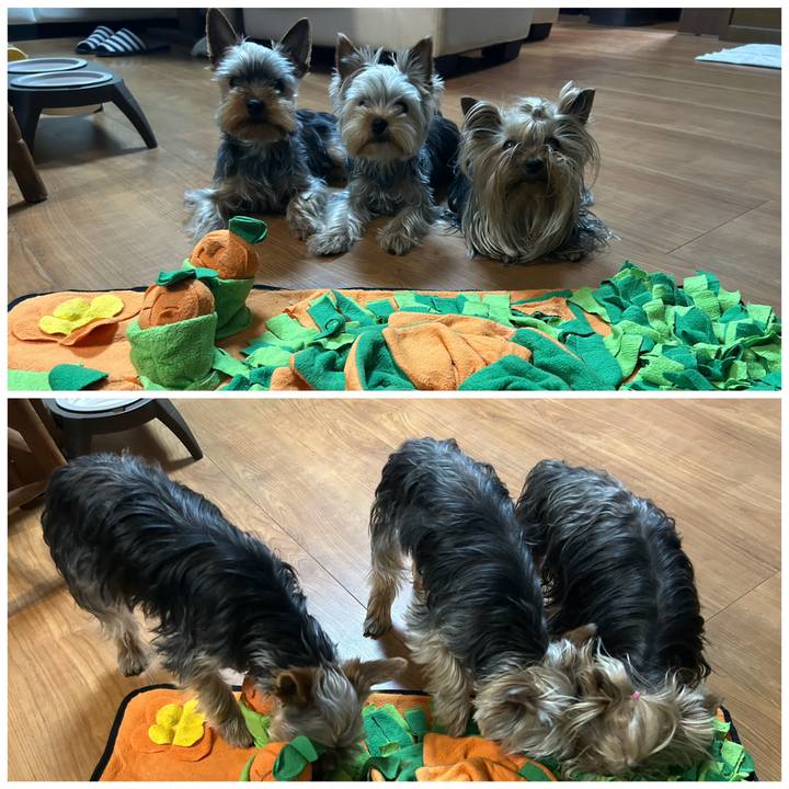 34c02322 c28a 4b4c b8c6 76ca9070e5a4 1746538142453