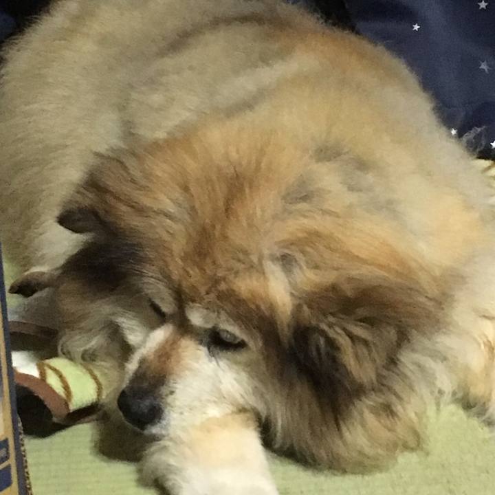 34c03297 7d25 470a 90d2 a2004d45ca33 1602177512402