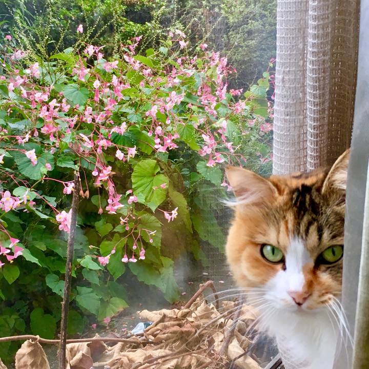 34c03665 0161 426b 8482 2c11bee4ef76 1568776321910