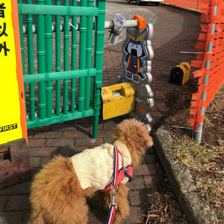 34c0494f 28dd 429f b43d a2a7c0cb0d1d 1644730549189