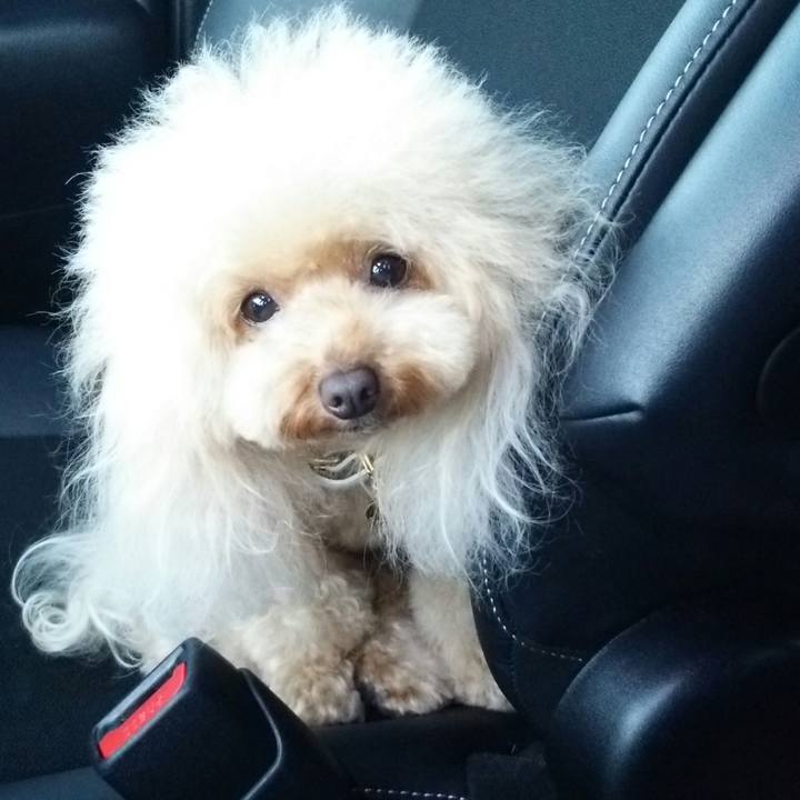 34c04b33 0782 458a a5f6 b6f6c1c33505 1543749562959