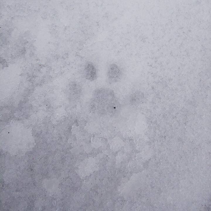 34c06abe 8d0f 4a39 aa3d e6847708948b 1646624330887